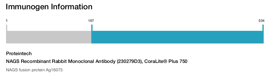NAGS Recombinant Rabbit Monoclonal Antibody (230279D3), CoraLite® Plus 750