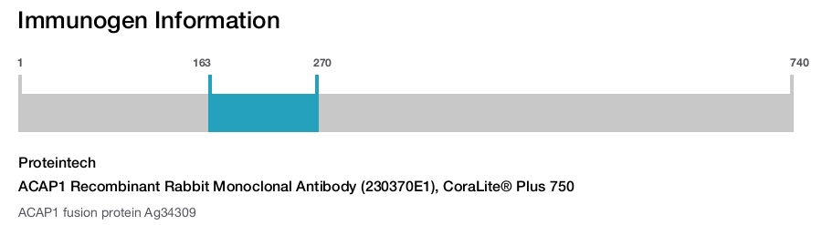 ACAP1 Recombinant Rabbit Monoclonal Antibody (230370E1), CoraLite&reg; Plus 750