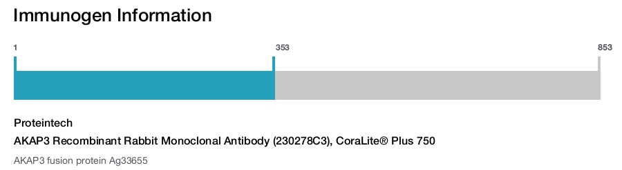 AKAP3 Recombinant Rabbit Monoclonal Antibody (230278C3), CoraLite&reg; Plus 750