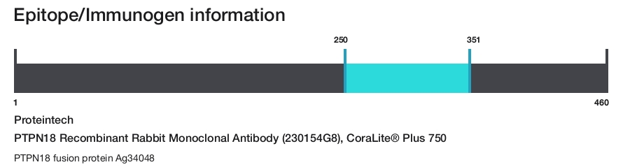 PTPN18 Recombinant Rabbit Monoclonal Antibody (230154G8), CoraLite&reg; Plus 750