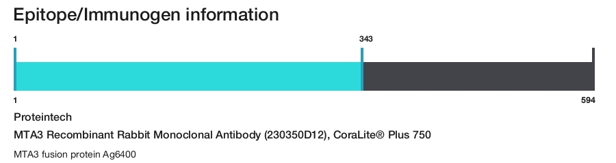 MTA3 Recombinant Rabbit Monoclonal Antibody (230350D12), CoraLite&reg; Plus 750
