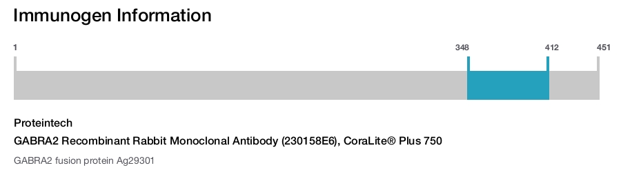 GABRA2 Recombinant Rabbit Monoclonal Antibody (230158E6), CoraLite&reg; Plus 750
