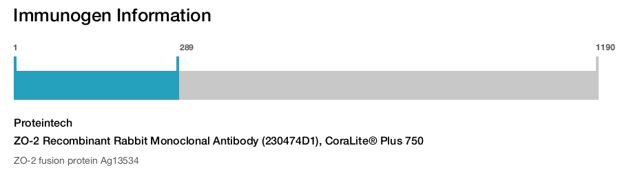 ZO-2 Recombinant Rabbit Monoclonal Antibody (230474D1), CoraLite&reg; Plus 750