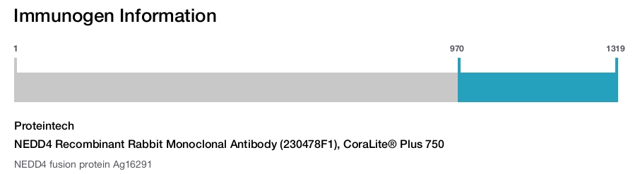 NEDD4 Recombinant Rabbit Monoclonal Antibody (230478F1), CoraLite&reg; Plus 750