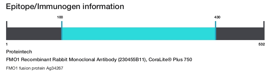 FMO1 Recombinant Rabbit Monoclonal Antibody (230455B11), CoraLite&reg; Plus 750