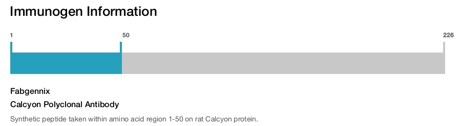 Calcyon Polyclonal Antibody
