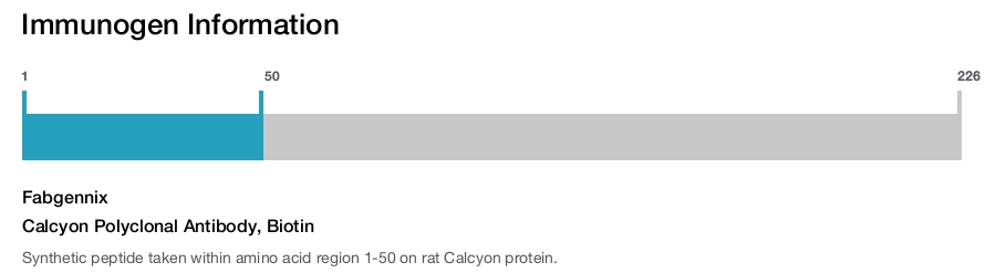Calcyon Polyclonal Antibody, Biotin
