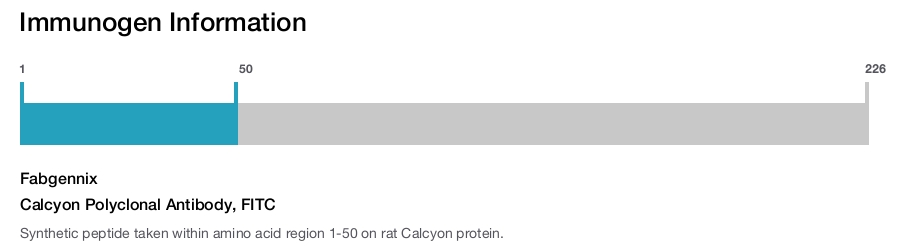 Calcyon Polyclonal Antibody, FITC