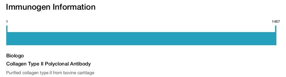 Collagen Type II Polyclonal Antibody