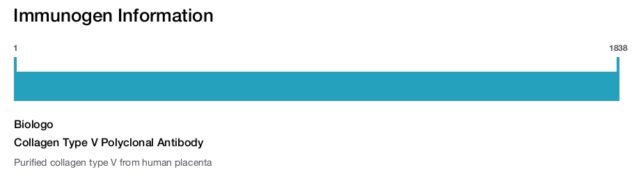 Collagen Type V Polyclonal Antibody