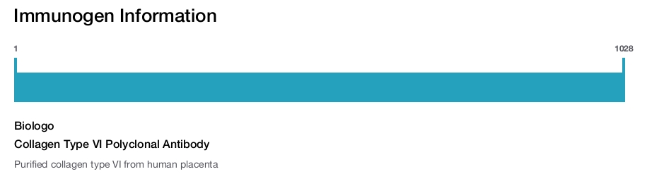 Collagen Type VI Polyclonal Antibody