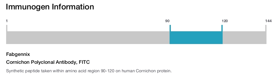 Cornichon Polyclonal Antibody, FITC