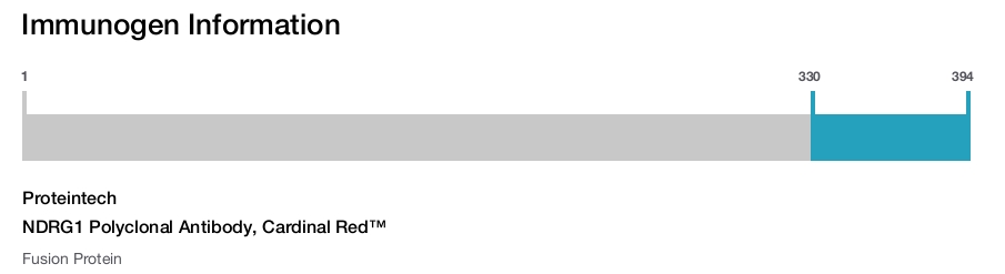 NDRG1 Polyclonal Antibody, Cardinal Red&trade;