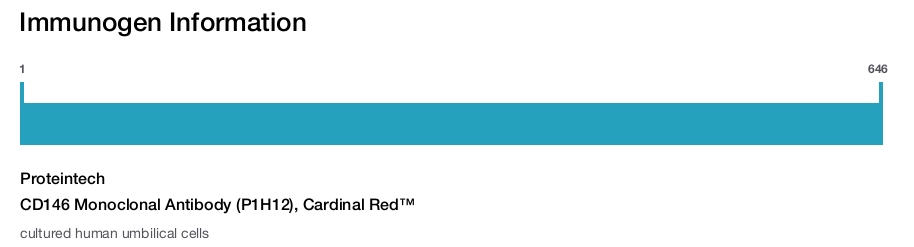 CD146 Monoclonal Antibody (P1H12), Cardinal Red&trade;