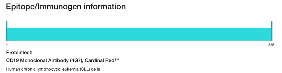 CD19 Monoclonal Antibody (4G7), Cardinal Red&trade;