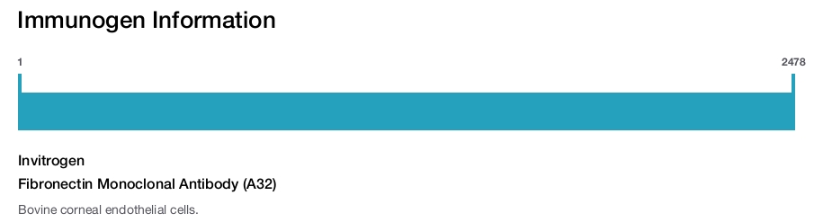 Fibronectin Monoclonal Antibody (A32)