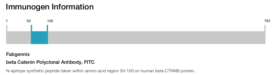 beta Catenin Polyclonal Antibody, FITC