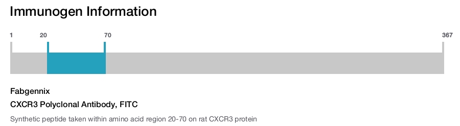 CXCR3 Polyclonal Antibody, FITC