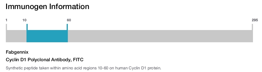 Cyclin D1 Polyclonal Antibody, FITC