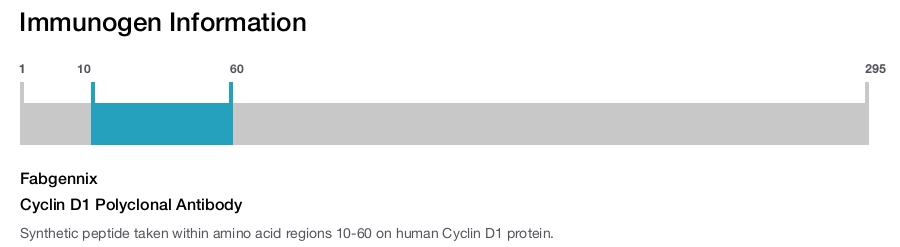Cyclin D1 Polyclonal Antibody