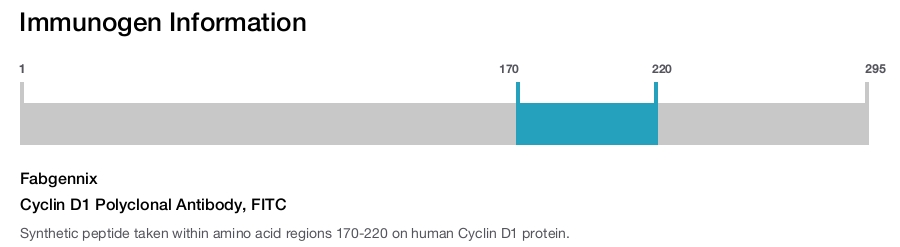 Cyclin D1 Polyclonal Antibody, FITC