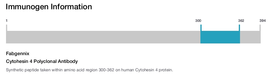 Cytohesin 4 Polyclonal Antibody