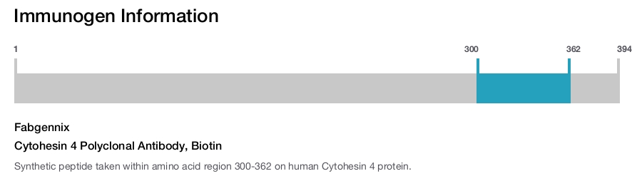Cytohesin 4 Polyclonal Antibody, Biotin
