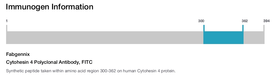Cytohesin 4 Polyclonal Antibody, FITC