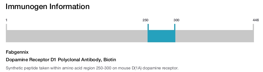 Dopamine Receptor D1 Polyclonal Antibody, Biotin