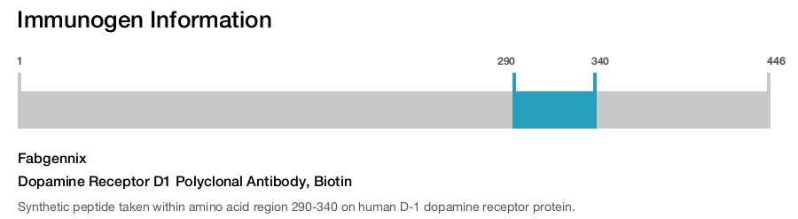 Dopamine Receptor D1 Polyclonal Antibody, Biotin
