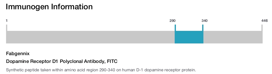 Dopamine Receptor D1 Polyclonal Antibody, FITC