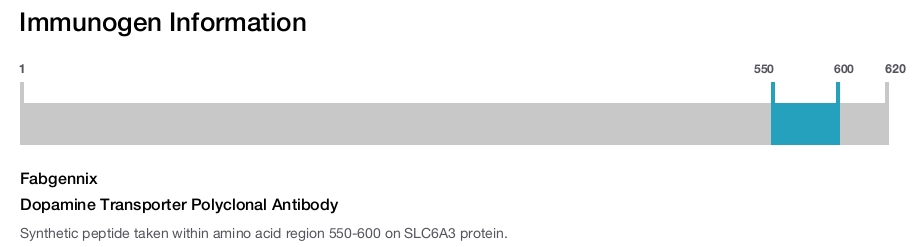 Dopamine Transporter Polyclonal Antibody