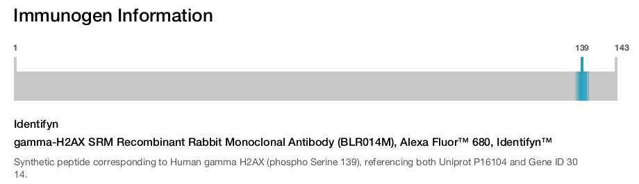 gamma-H2AX SRM Recombinant Rabbit Monoclonal Antibody (BLR014M), Alexa Fluor™ 680, Identifyn™