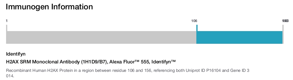 H2AX SRM Monoclonal Antibody (1H1D9/B7), Alexa Fluor™ 555, Identifyn™