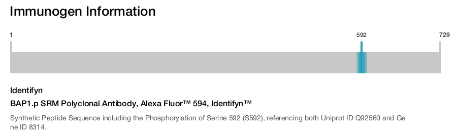 BAP1.p SRM Polyclonal Antibody, Alexa Fluor™ 594, Identifyn™