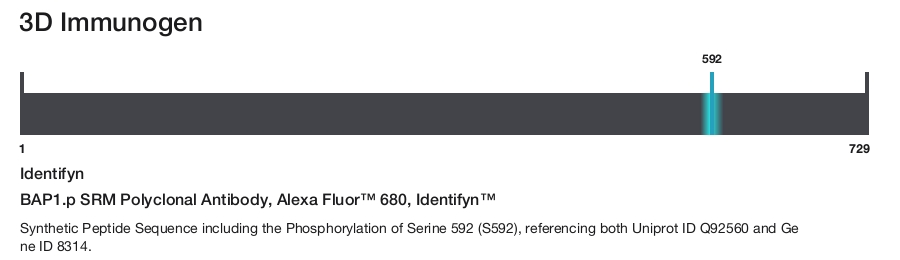 BAP1.p SRM Polyclonal Antibody, Alexa Fluor&trade; 680, Identifyn&trade;