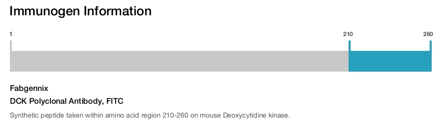 DCK Polyclonal Antibody, FITC