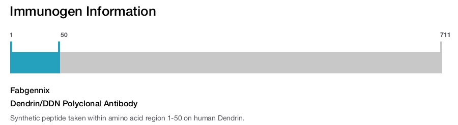 Dendrin/DDN Polyclonal Antibody
