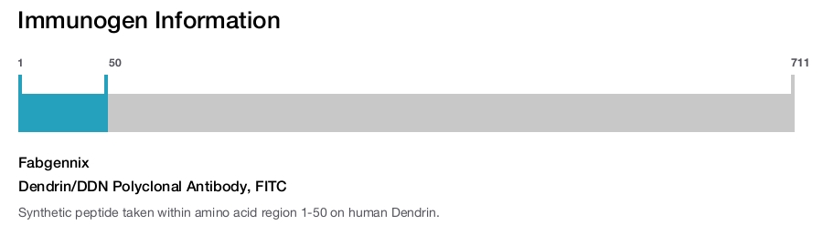 Dendrin/DDN Polyclonal Antibody, FITC