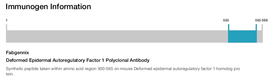 Deformed Epidermal Autoregulatory Factor 1 Polyclonal Antibody