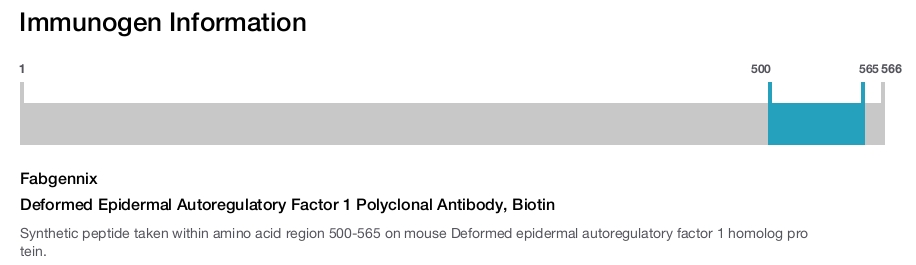 Deformed Epidermal Autoregulatory Factor 1 Polyclonal Antibody, Biotin