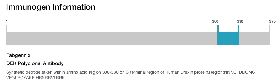 DEK Polyclonal Antibody