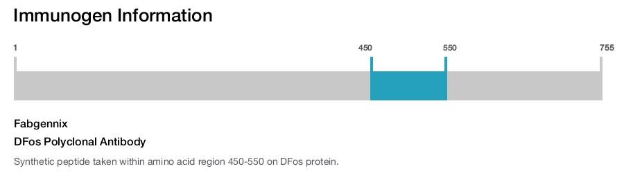 DFos Polyclonal Antibody