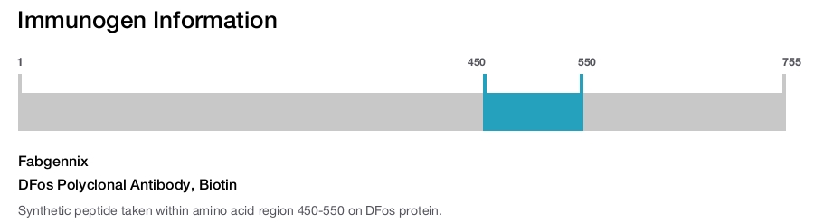 DFos Polyclonal Antibody, Biotin