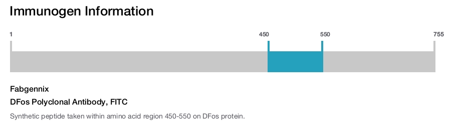 DFos Polyclonal Antibody, FITC