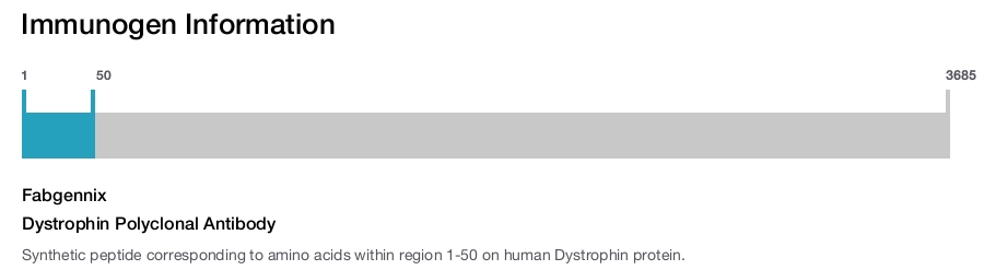Dystrophin Polyclonal Antibody