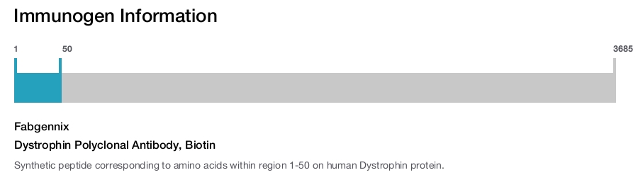 Dystrophin Polyclonal Antibody, Biotin