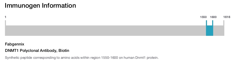 DNMT1 Polyclonal Antibody, Biotin