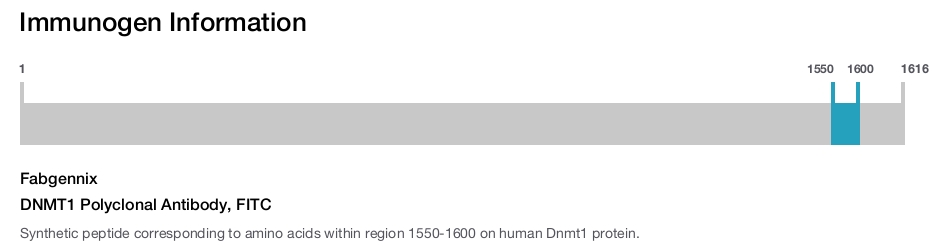 DNMT1 Polyclonal Antibody, FITC