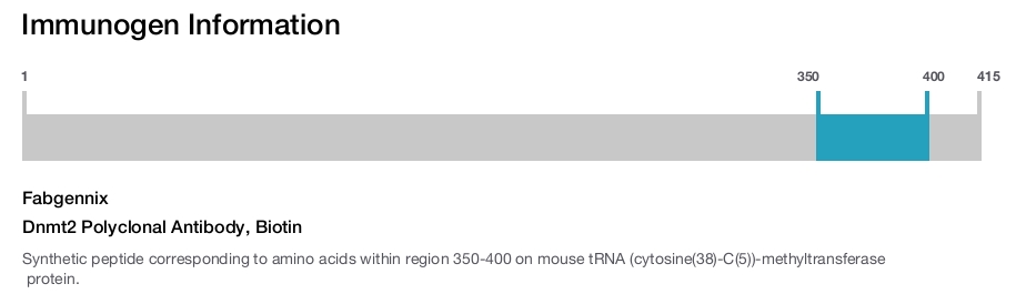 Dnmt2 Polyclonal Antibody, Biotin